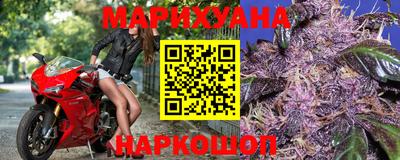 прущие крисы Гусев