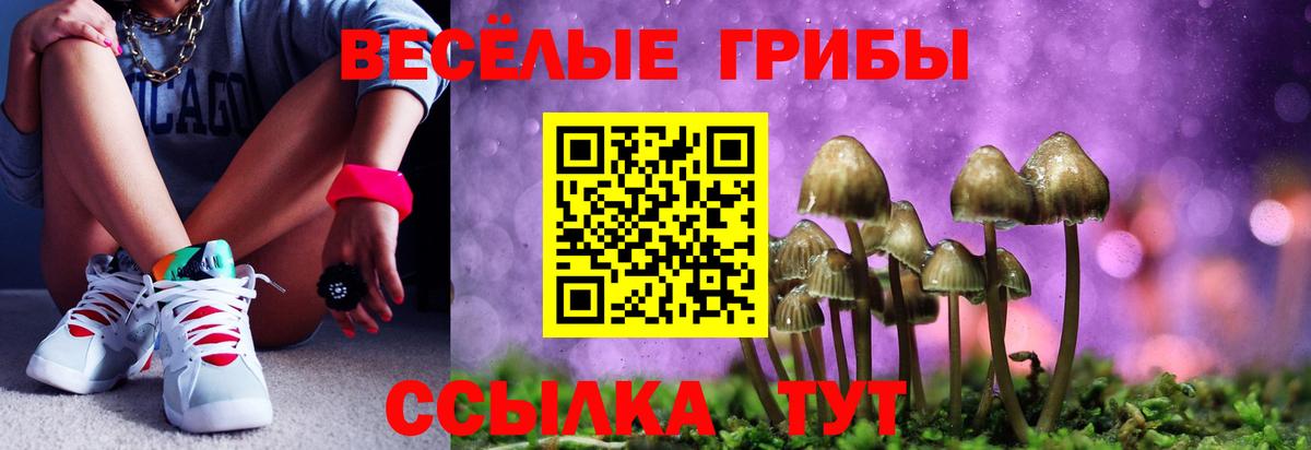 Псилоцибиновые грибы Magic Shrooms  Вход с VPN  Саратов  Псилоцибиновые грибы Magic Shrooms 